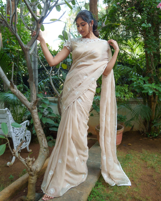 Tale Of Threads Saree Set